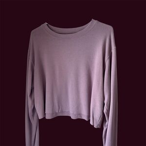 BRANDY MELVILLE Pink Cropped Long Sleeve Sweater Top